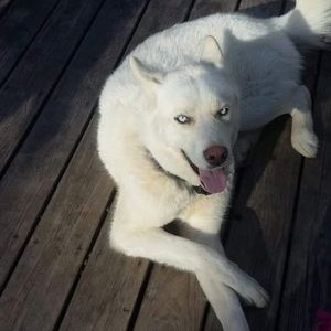 Meet your Posher, Jacob